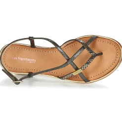 Les Tropéziennes par M Belarbi - MONACODE