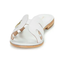 Les Tropéziennes par M Belarbi - DAMIA