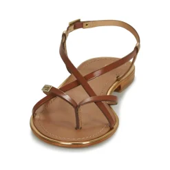 Les Tropéziennes par M Belarbi - MONACODE