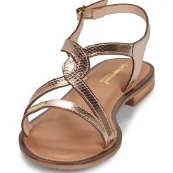 Les Tropéziennes par M Belarbi - HASTRAL