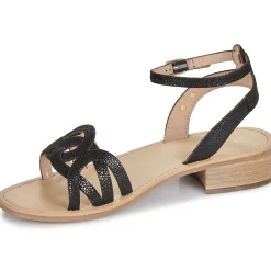 Les Tropéziennes par M Belarbi - HIREEN