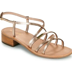 Les Tropéziennes par M Belarbi - HARRYNA