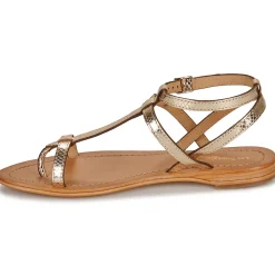 Les Tropéziennes par M Belarbi - HILAN