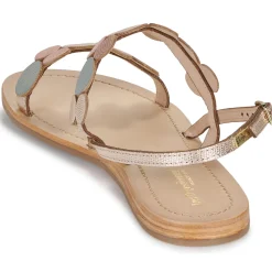 Les Tropéziennes par M Belarbi - HOLLYDOT