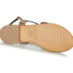 Les Tropéziennes par M Belarbi - HARRY