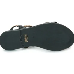 Les Tropéziennes par M Belarbi - OBALINA