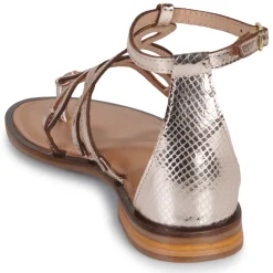 Les Tropéziennes par M Belarbi - HARABESQUE