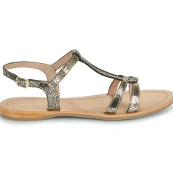 Les Tropéziennes par M Belarbi - HACKLIO