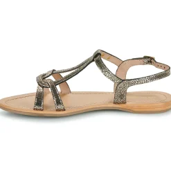 Les Tropéziennes par M Belarbi - HACKLIO