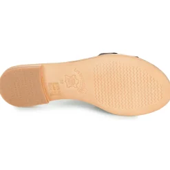 Les Tropéziennes par M Belarbi - DAMIA