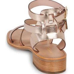 Les Tropéziennes par M Belarbi - HOCEAN