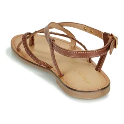 Les Tropéziennes par M Belarbi - CHOU