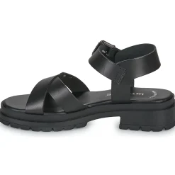 Les Tropéziennes par M Belarbi - TIHA