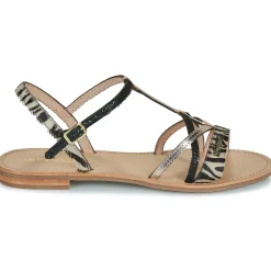 Les Tropéziennes par M Belarbi - HIROGUMPO