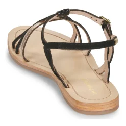 Les Tropéziennes par M Belarbi - HEMMAGUM