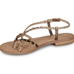 Les Tropéziennes par M Belarbi - MONATRES