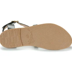 Les Tropéziennes par M Belarbi - HIPAZ