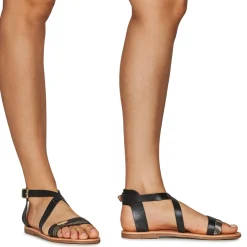 Les Tropéziennes par M Belarbi - HIPAZ