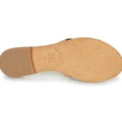 Les Tropéziennes par M Belarbi - DAMIA