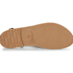 Les Tropéziennes par M Belarbi - CHOU