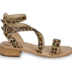 Les Tropéziennes par M Belarbi - HOCEANPO