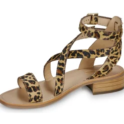 Les Tropéziennes par M Belarbi - HOCEANPO