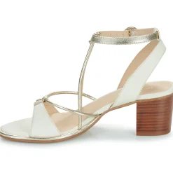 Les Tropéziennes par M Belarbi - LILON