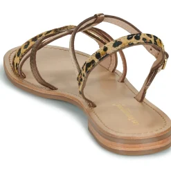 Les Tropéziennes par M Belarbi - HIROGUMPO