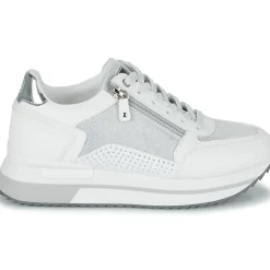 Lumberjack - CECILIA