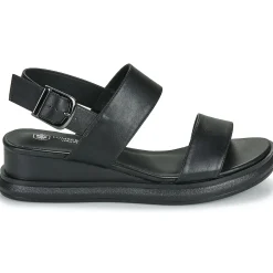 Lumberjack - FILEROY