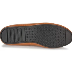 Mac Douglas - ELIANE