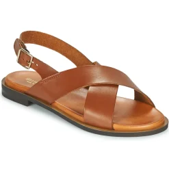 Maison Minelli - DONA