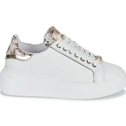 Meline - 608ACC-LO-E883