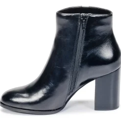 Mellow Yellow - CEANOTHE