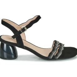 Metamorf'Ose - GABERNIK