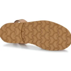 Minorquines - AVARCA