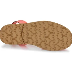 Minorquines - AVARCA