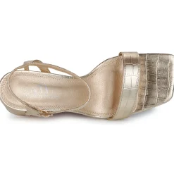 Moony Mood - ANDROMA