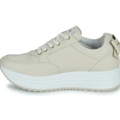 NeroGiardini - E506371D