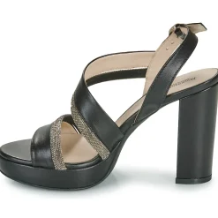 NeroGiardini - E410220D