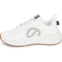 No Name - CARTER FLY W