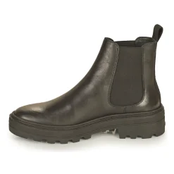 Palladium - CULT 01 NAP