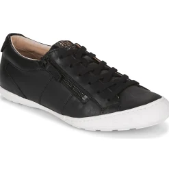 Palladium - GALOPINE SVG