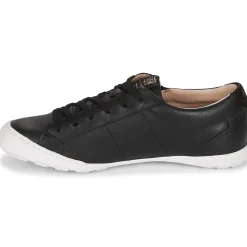 Palladium - GALOPINE SVG