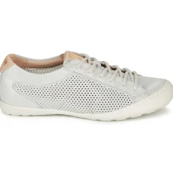 Palladium - GRACIEUSE ALX