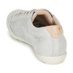 Palladium - GRACIEUSE ALX