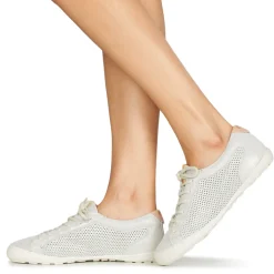 Palladium - GRACIEUSE ALX