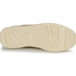 Palladium - PALLACUP FLAME LTH