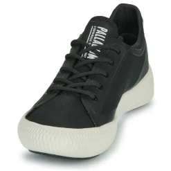 Palladium - PALLANOVA CVS