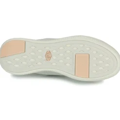 Palladium - PALLANOVA LTH